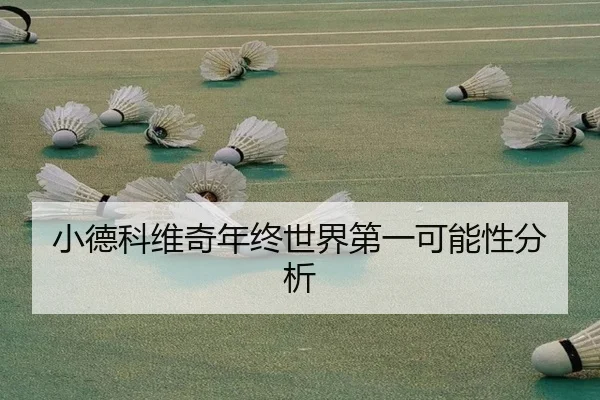 小德科维奇年终世界第一可能性分析